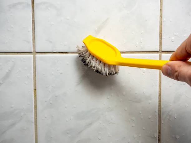 Best Best Mold Removal Companies  in Oak Grove, MO