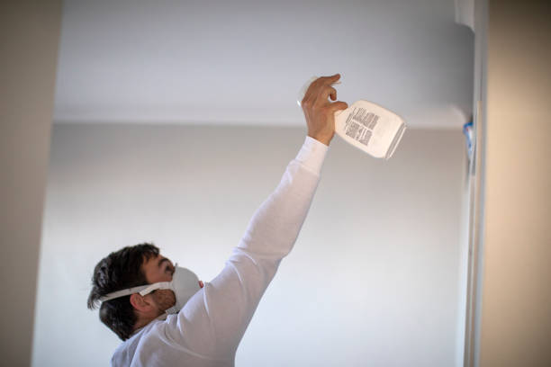 Best Attic Mold Removal  in Oak Grove, MO